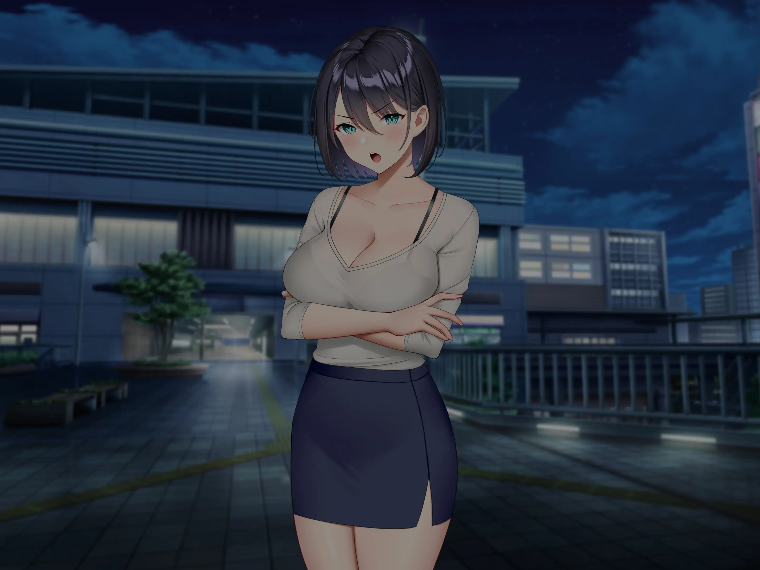 Gyaku Chikan Zuki No Bijin OL O Gyaku Ni Otoshite Hamemakutta Hanashi. | 역치한을 좋아하는 미녀 OL을 역으로 타락시켜 마구 섹스한 이야기.